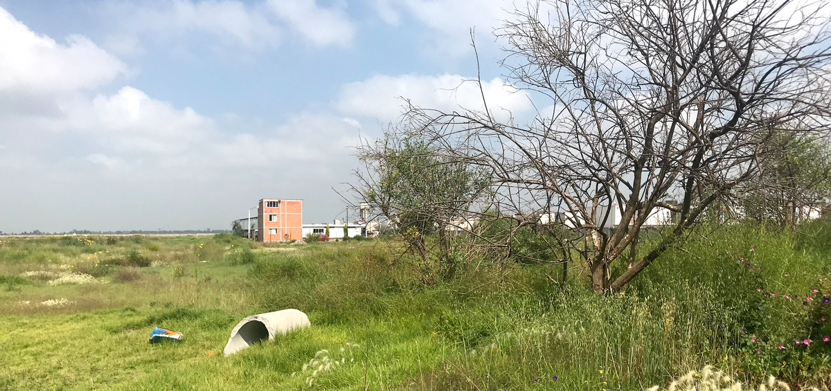 Terreno en venta colindante al AIFA - foto 5