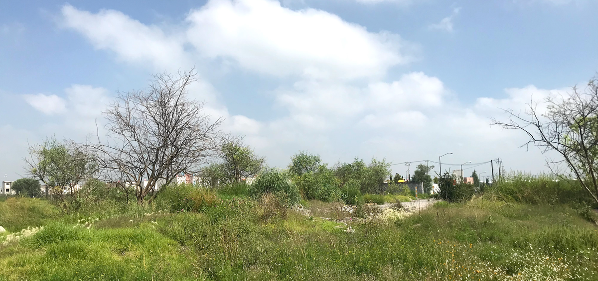 7 de 9: Ideal para operaciones logísticas