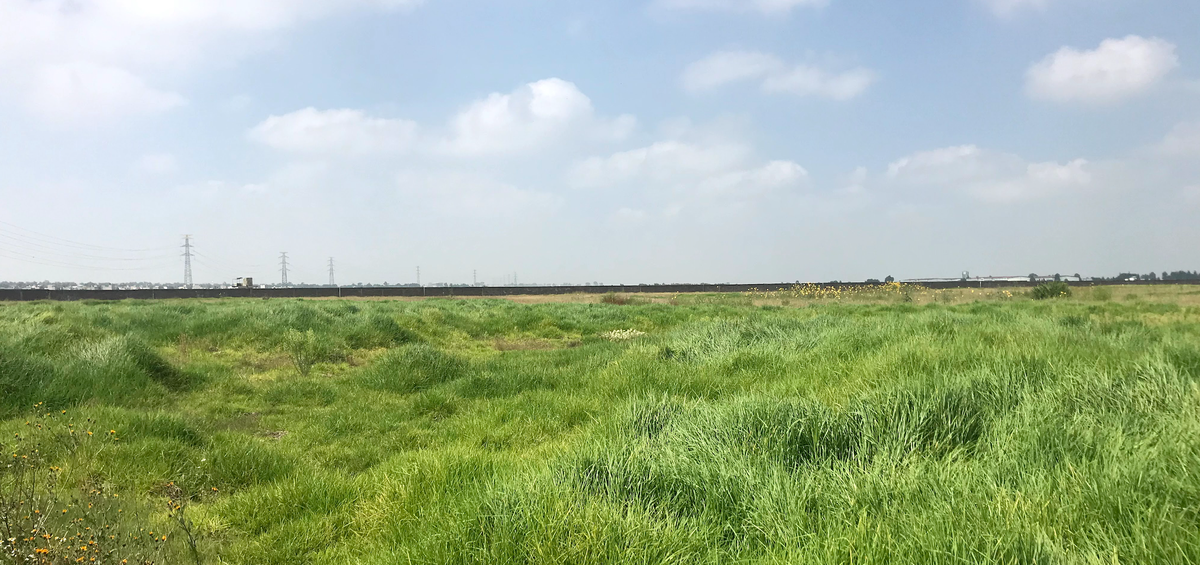 8 de 9: Terreno plano colindante a barda perimetral