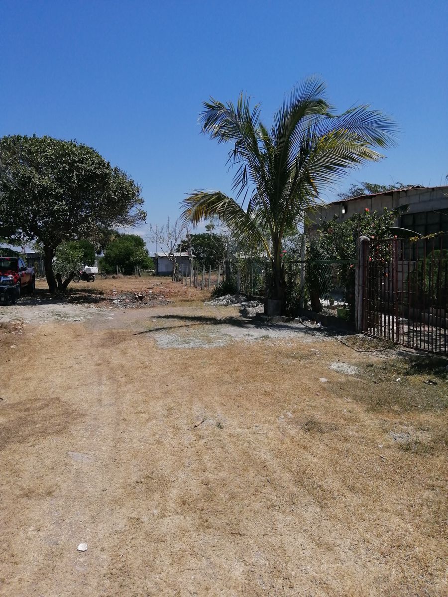 4 de 13