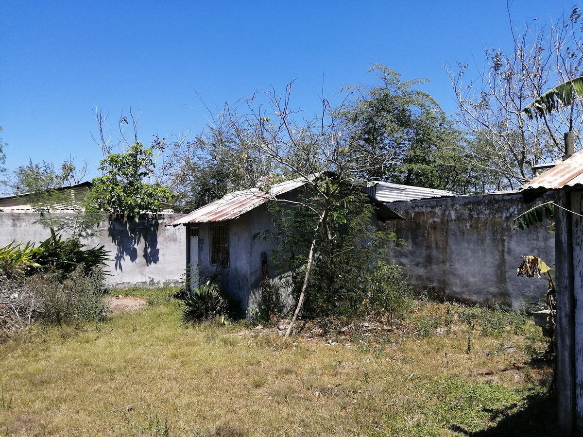 5 de 13
