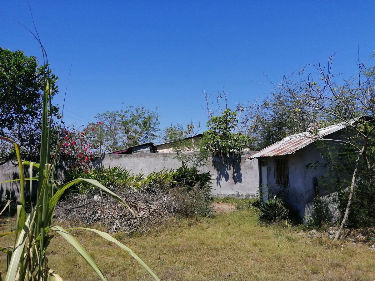 6 de 13