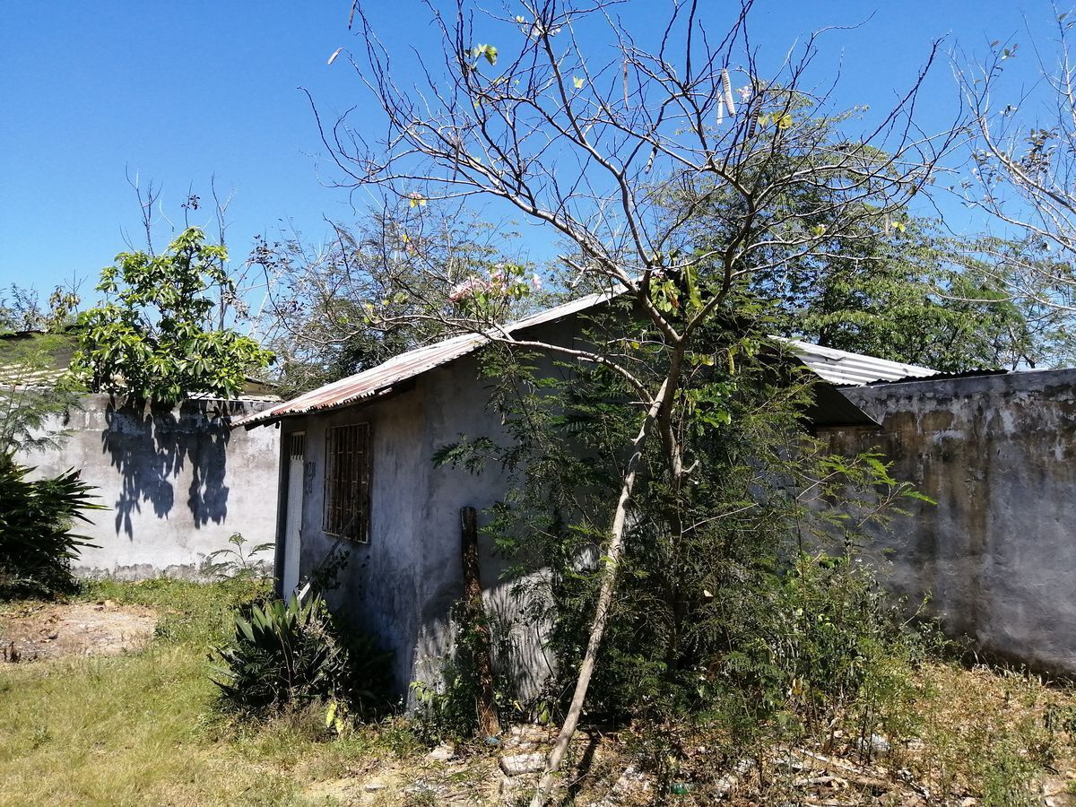 8 de 13