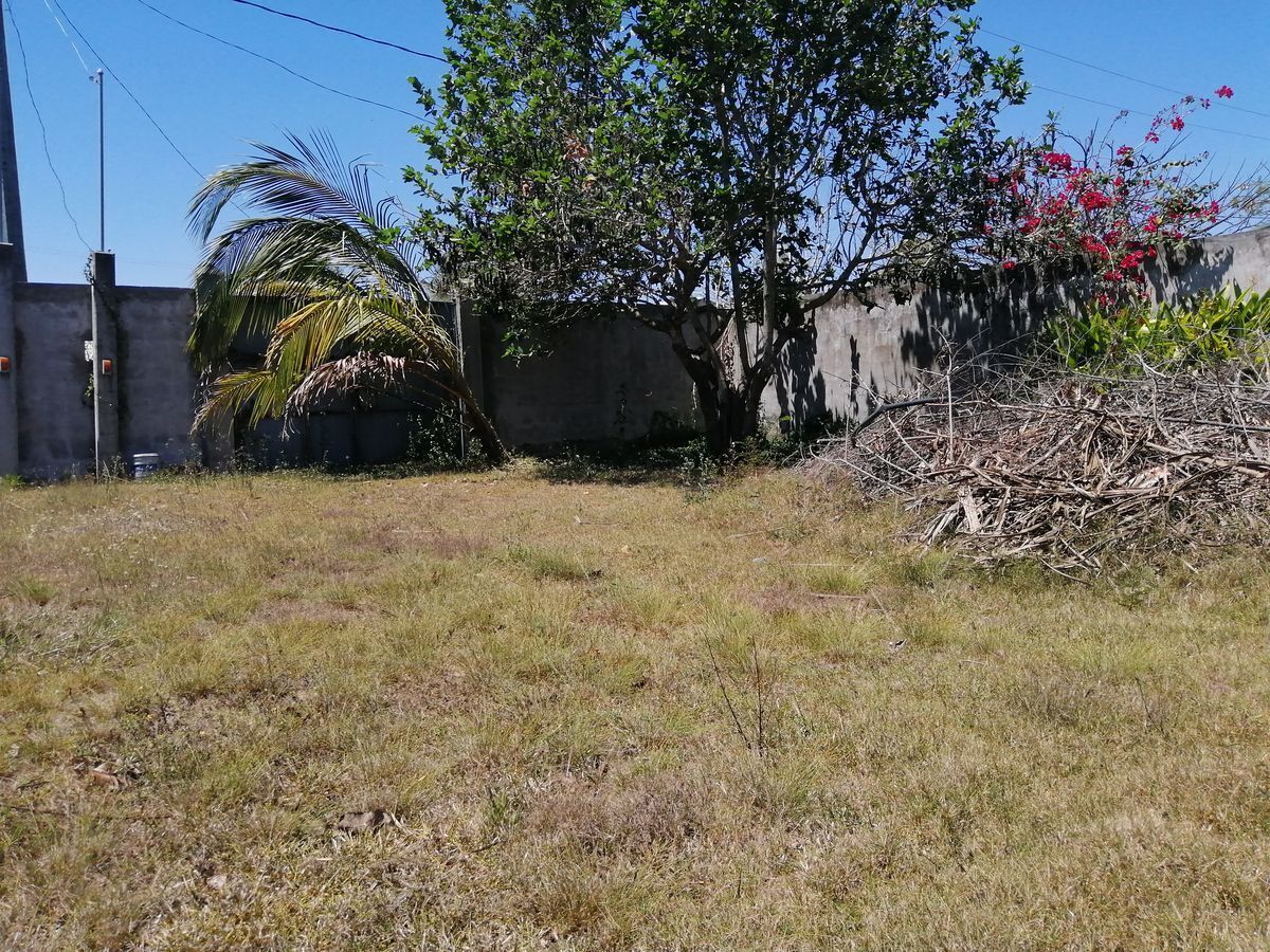 9 de 13