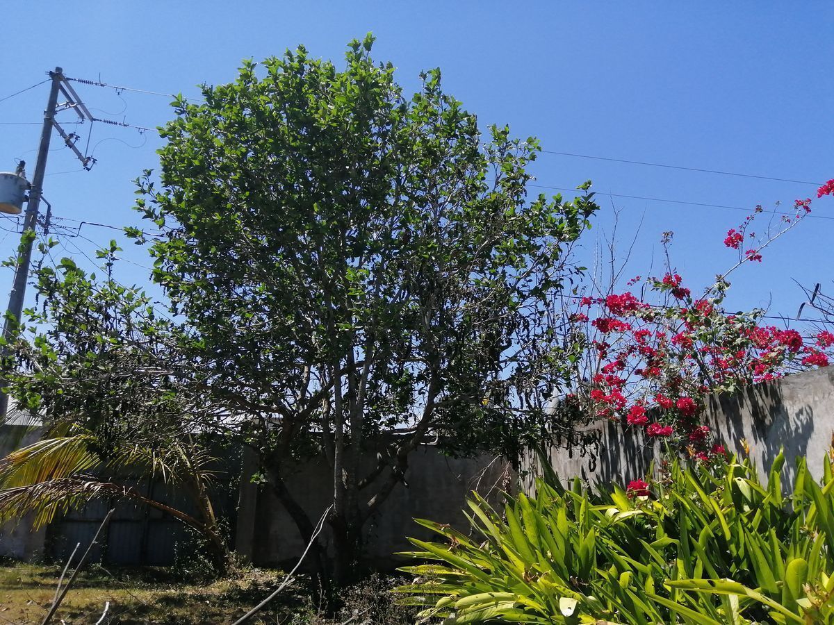 10 de 13