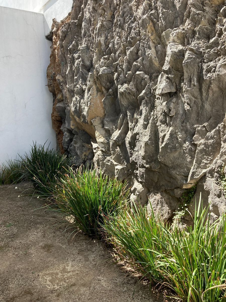 13 de 13: Muro de piedra jardin trasero