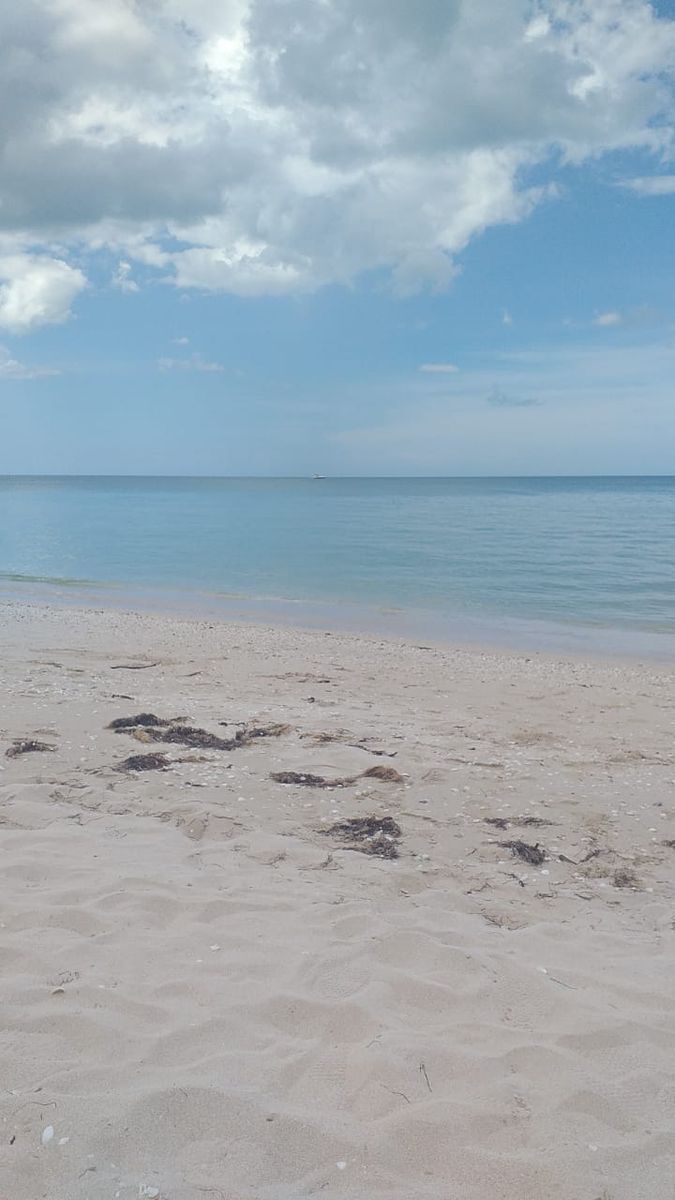 2 de 5: PLAYA