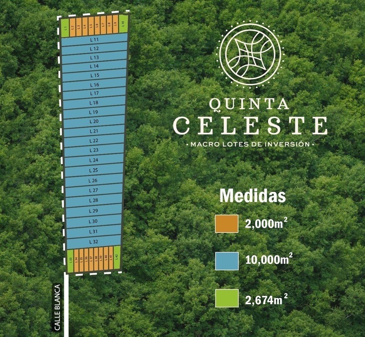 1 de 1