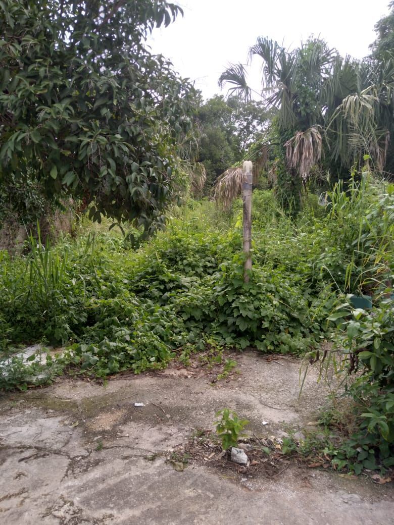 El patio trasero, muy amplio