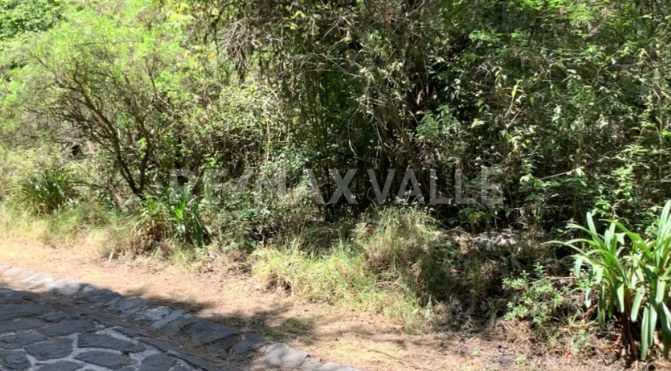 Terreno en Cuadrilla de Dolores, Valle de Bravo, foto 4 de 5