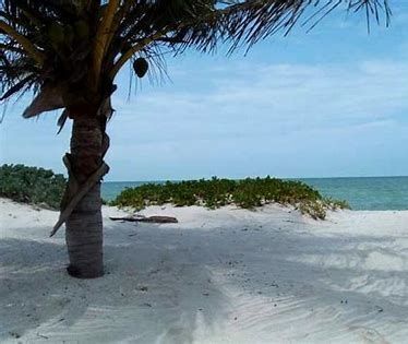 TERRENOS VENTA A 5 MIN PLAYA SANTA CLARA YUC CHICHEN REALTY