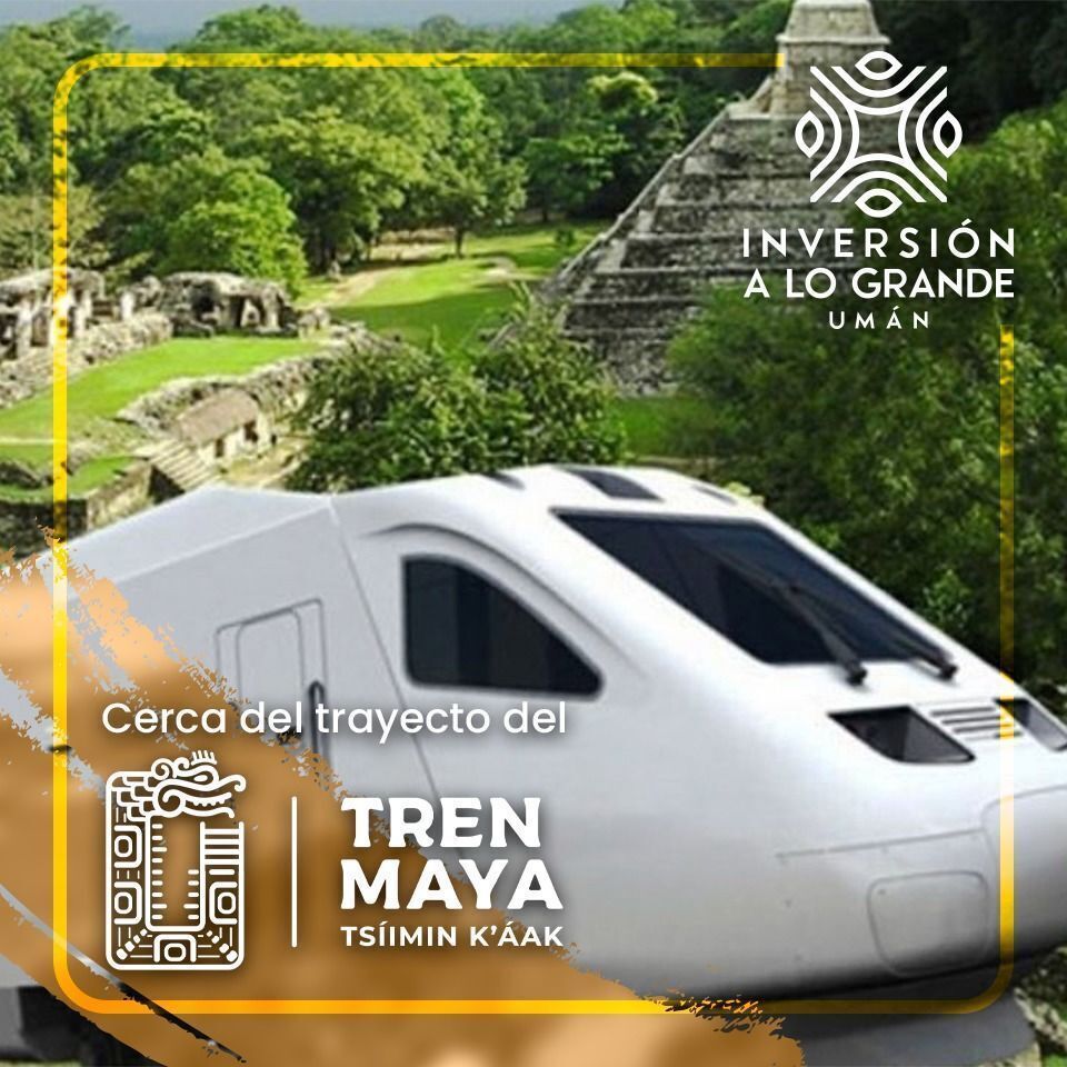 Oportunidad de inversión, terreno en Umán de 5 Hectáreas - foto 1