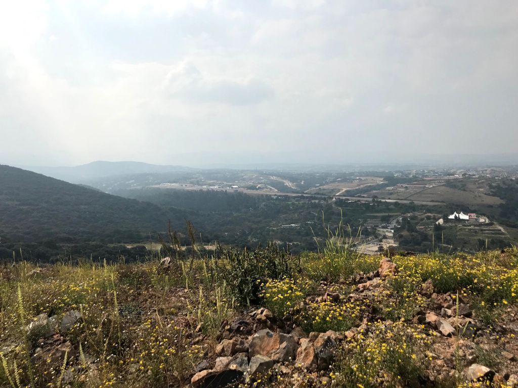 15 a 17 hectáreas en venta Atizapan de Z - foto 4