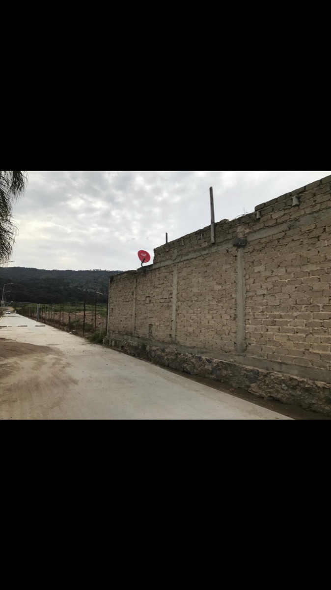 4 de 8