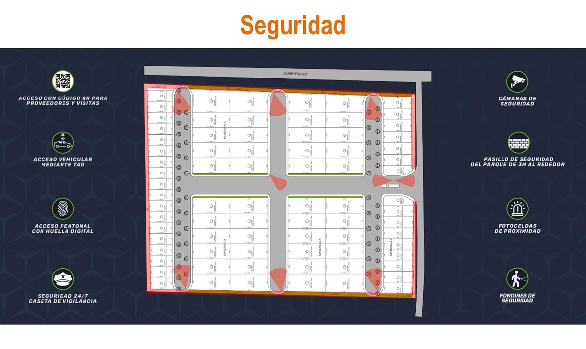 11 de 12