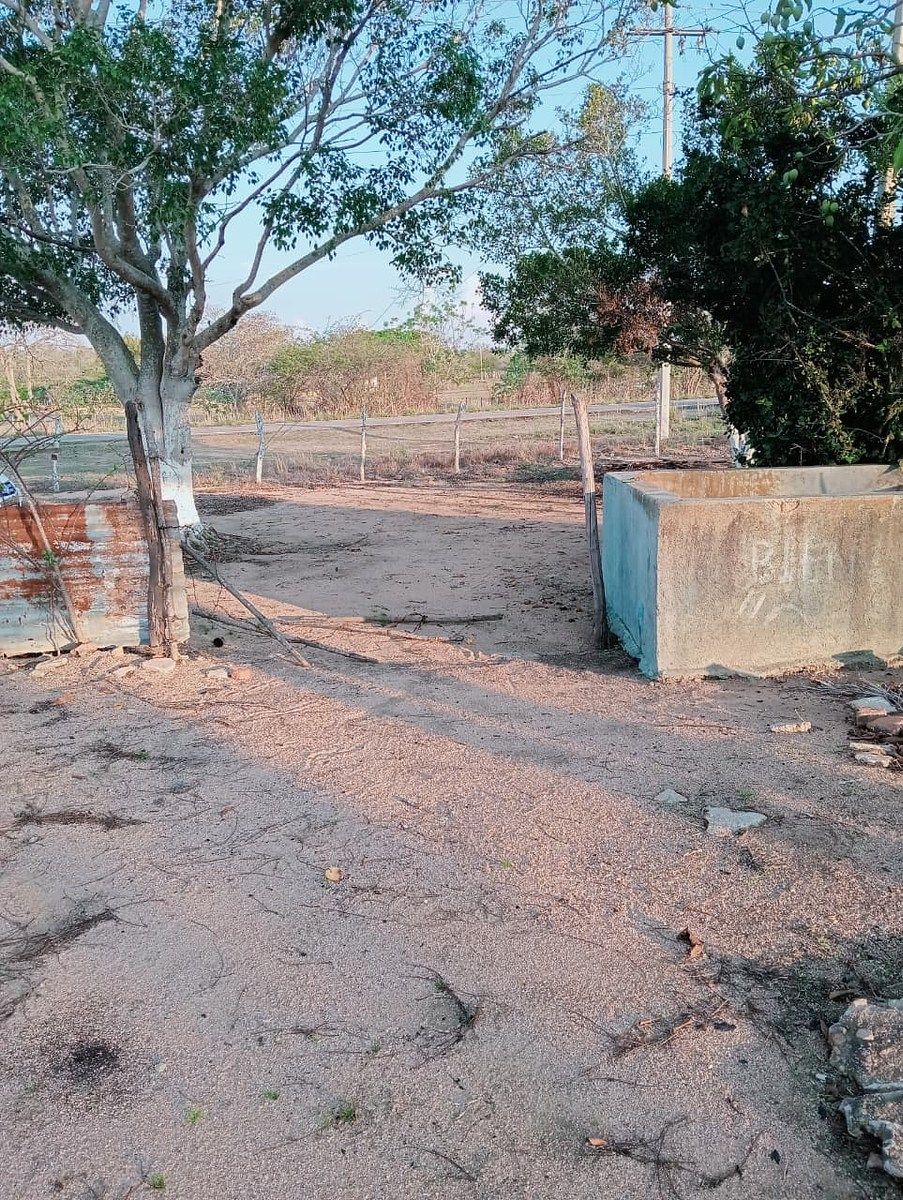 Lot in Roberto Barrios, Cintalapa, photo 16 of 28