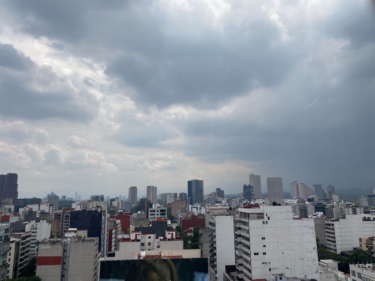 7 de 17