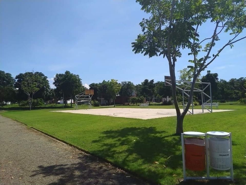 5 de 10