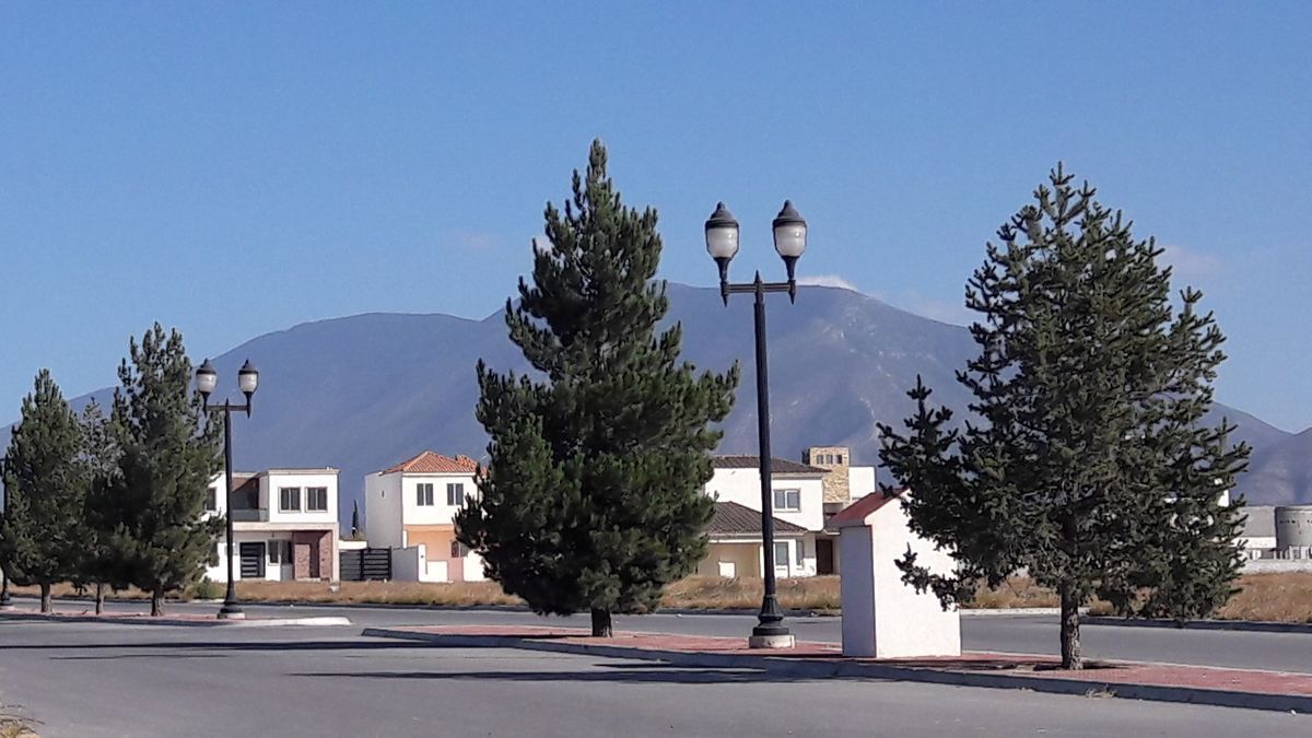 4 de 11