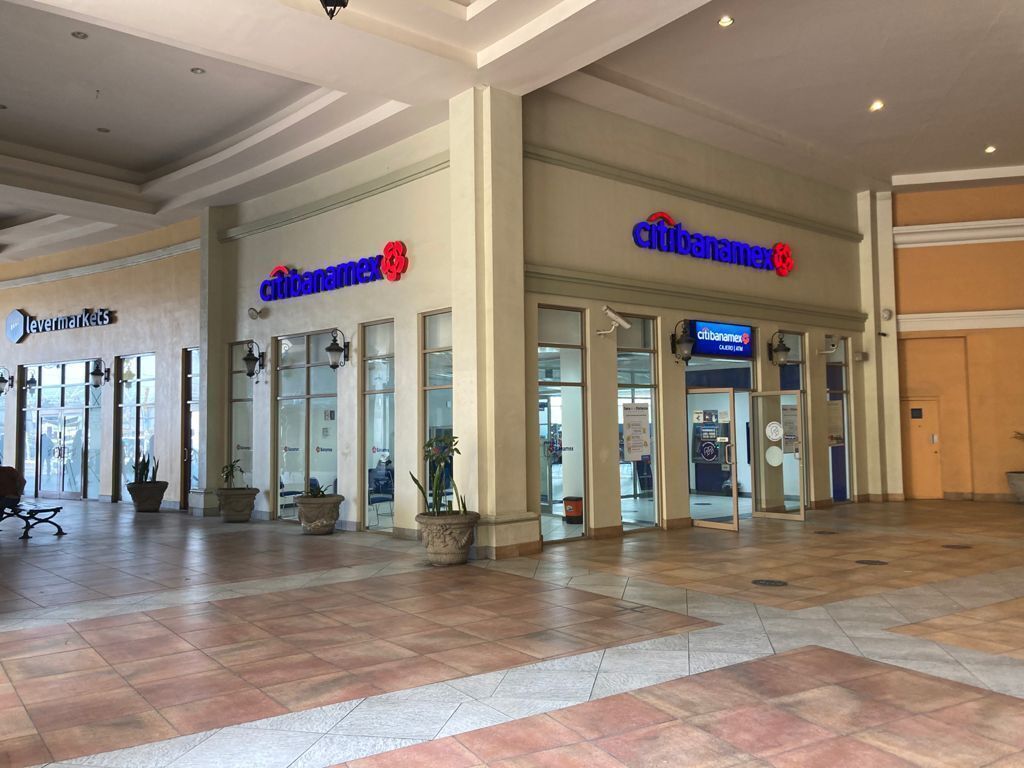 Local at Blvd. Hot Water, Racecourse Galleries, photo 1 of 11