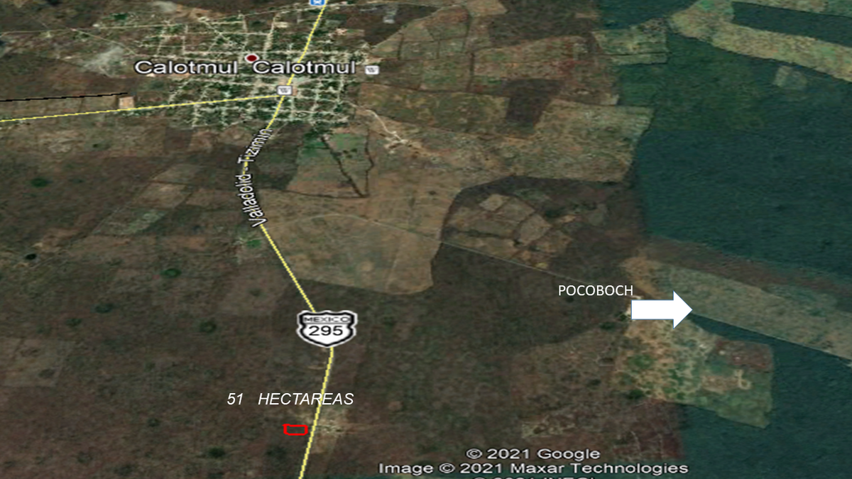 TERRENO DE 51 HECTAREAS CALOTMUL YUCATAN