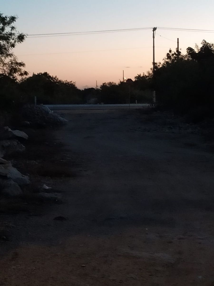 5 de 6