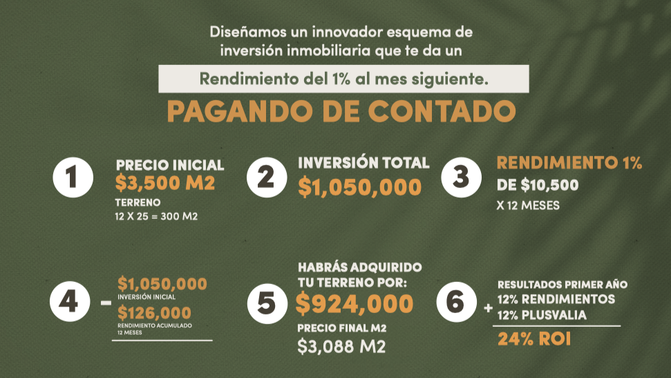 19 de 42