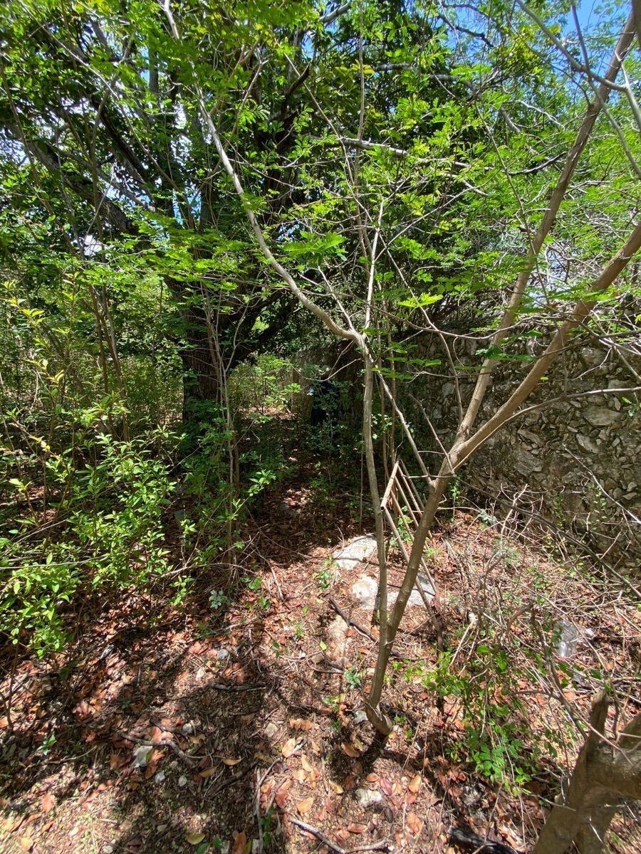 Casa con gran Terreno en venta en Merida, en Chuburna. ¡Son 2,378m2!