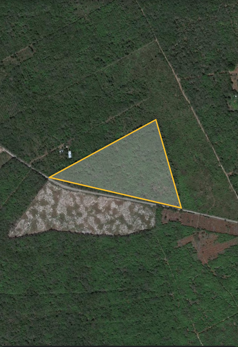 Venta de terreno en la villa de Baca Yucatán. AAL - foto 4