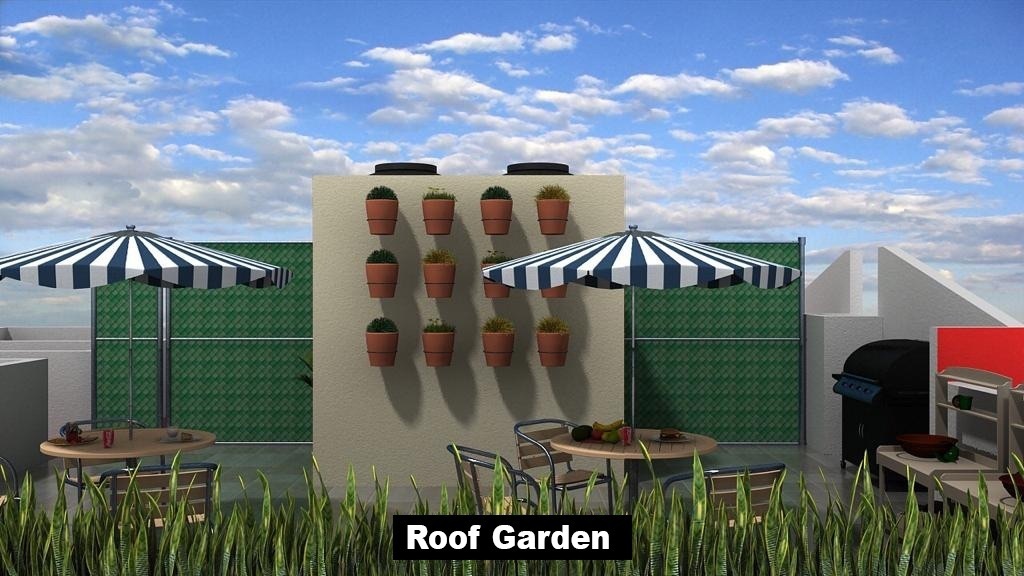 12 de 18: Roof Garden