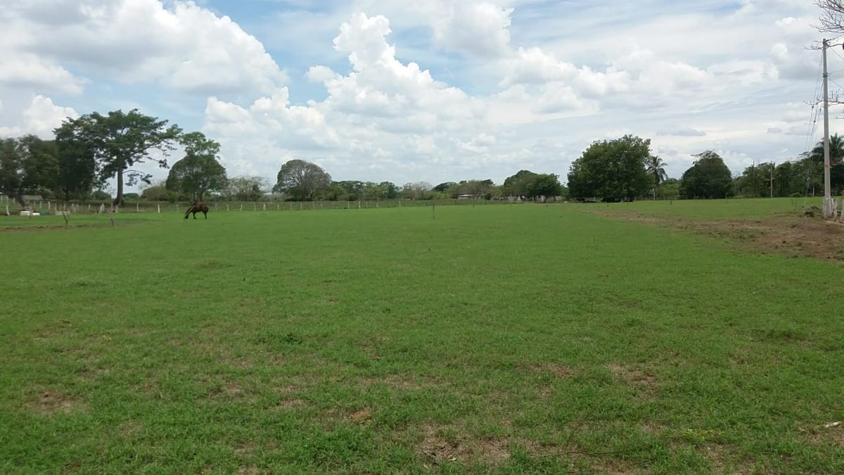 Terreno en La Javilla