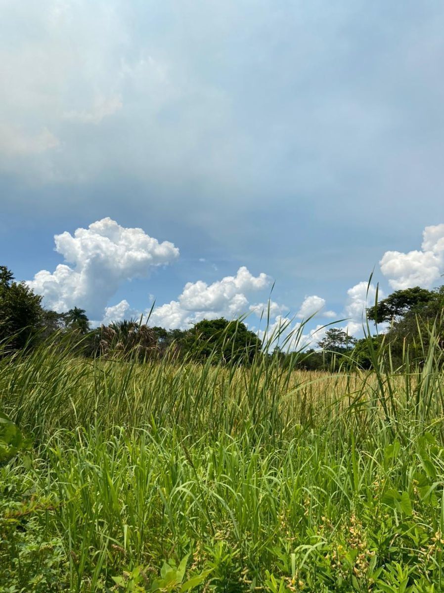 TERRENO EN TRAMO PUERTO RICO SAN ANTONIO - foto 4
