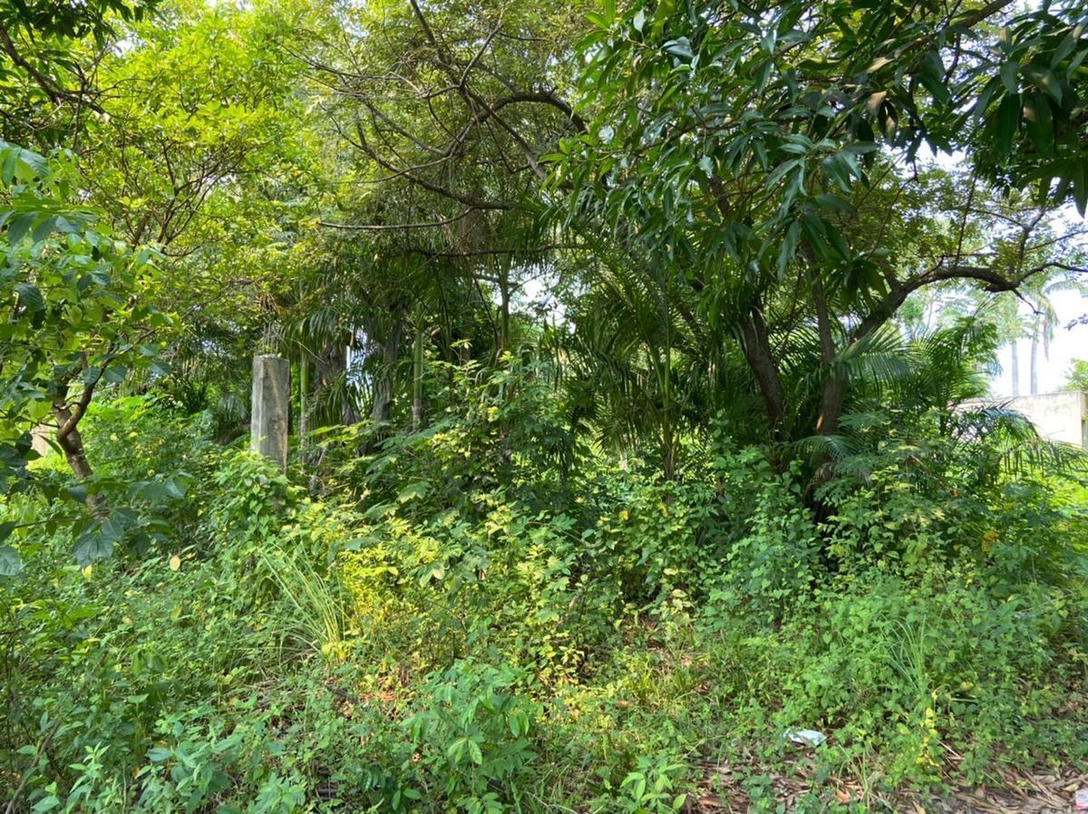 TERRENO EN TRAMO PUERTO RICO SAN ANTONIO - foto 5