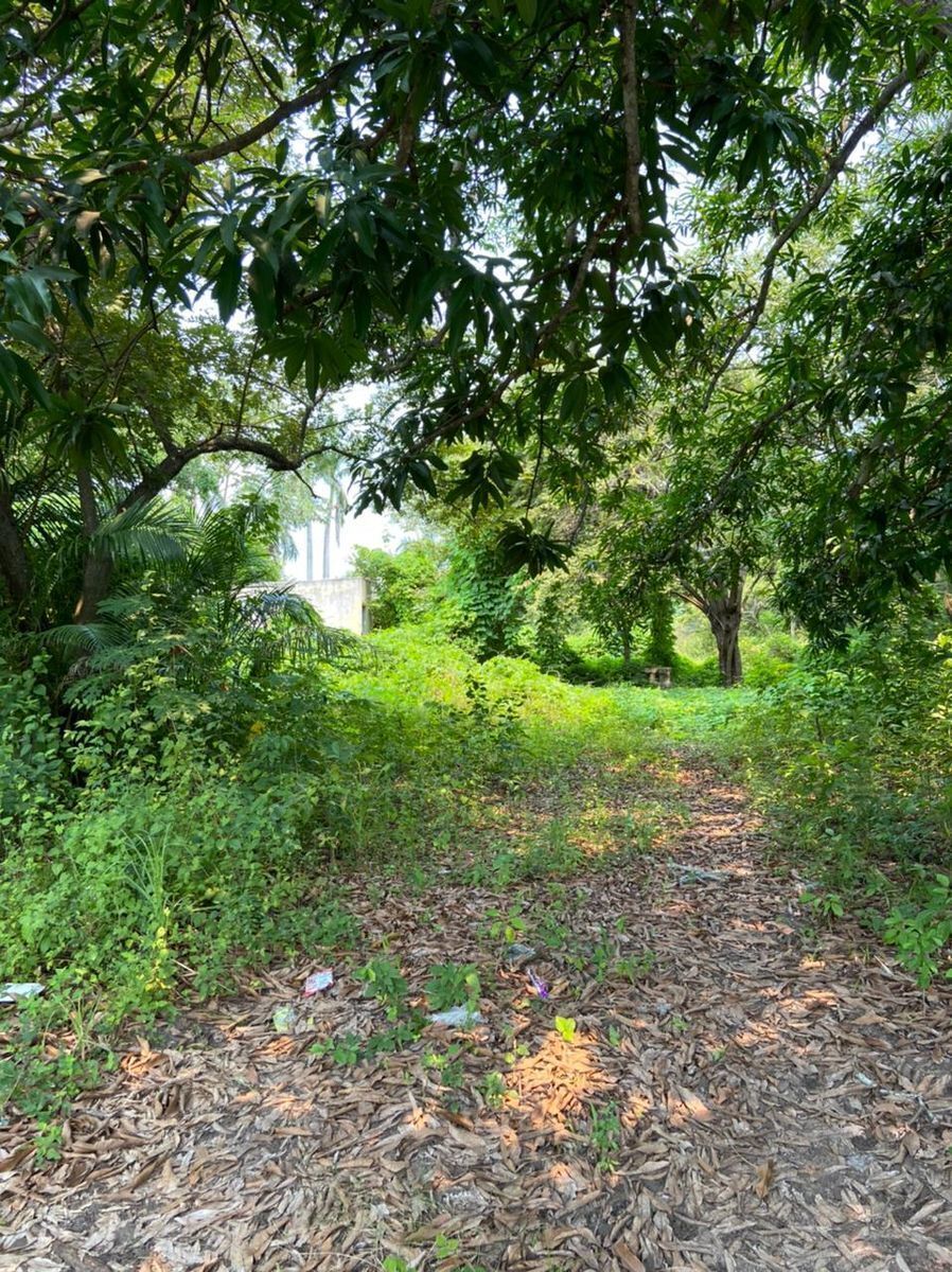 TERRENO EN TRAMO PUERTO RICO SAN ANTONIO - foto 3