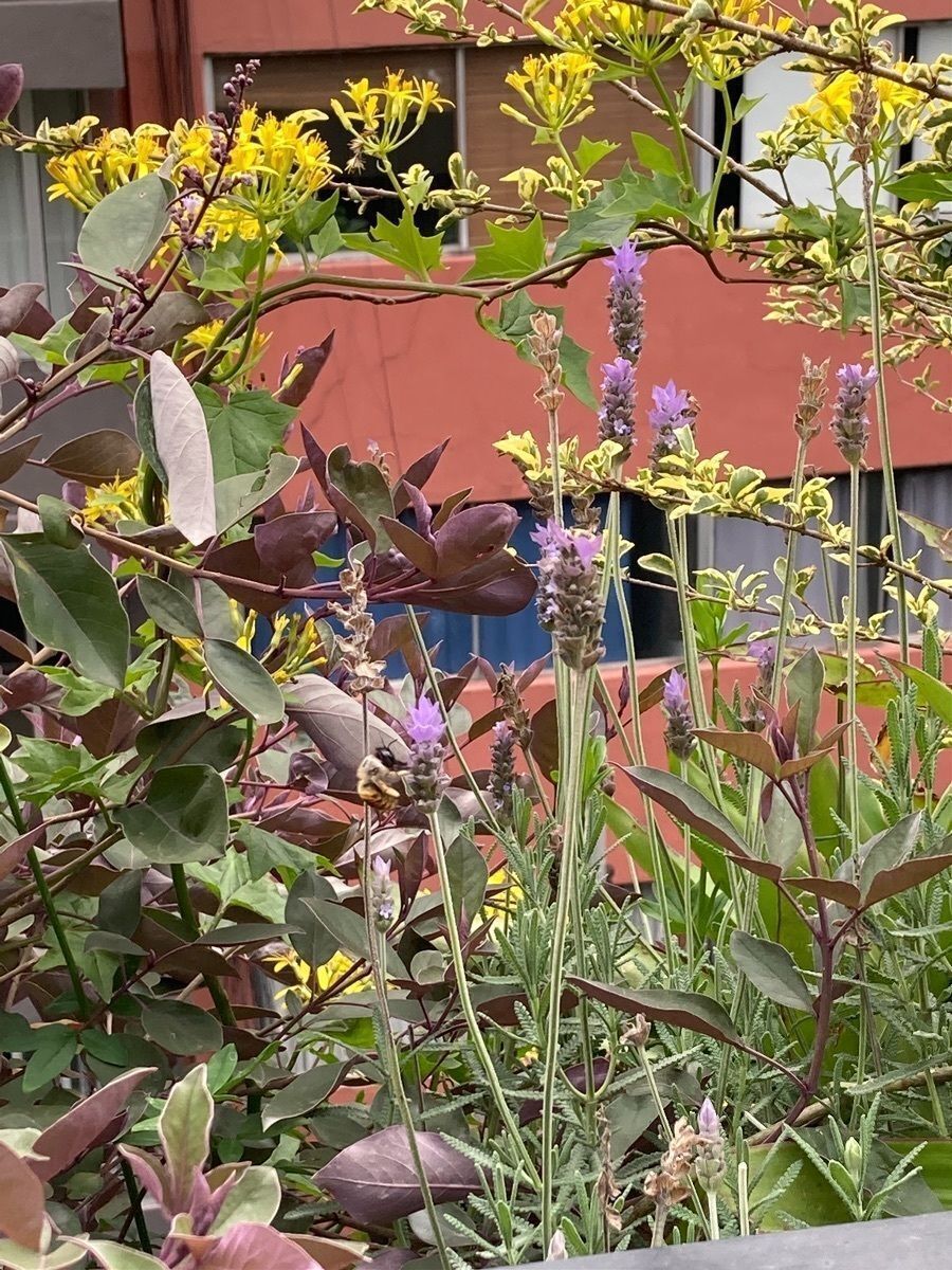 3 of 9