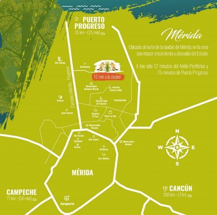 2 de 6