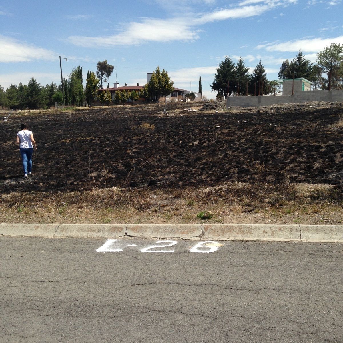 Frente del terreno