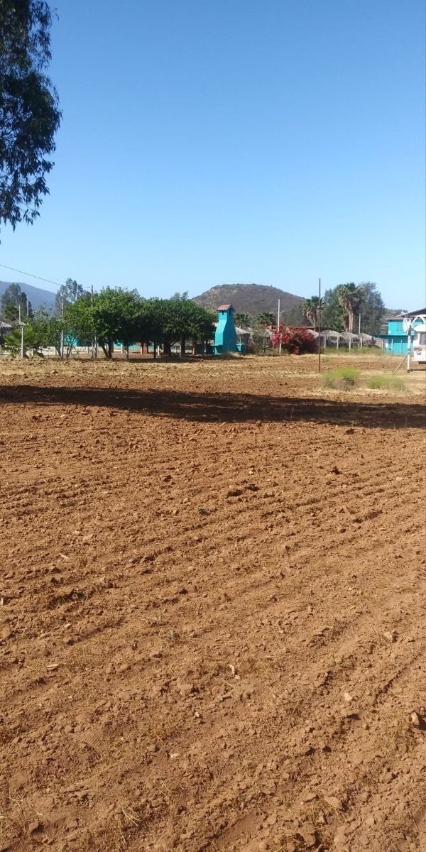Venta de Terrenos en Valle de Guadalupe