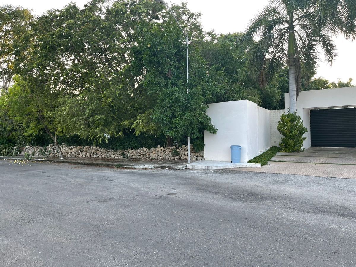 5 de 5