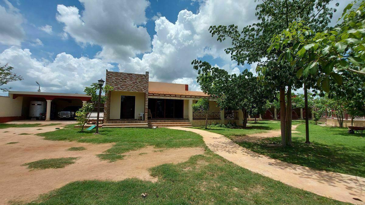 16 de 50