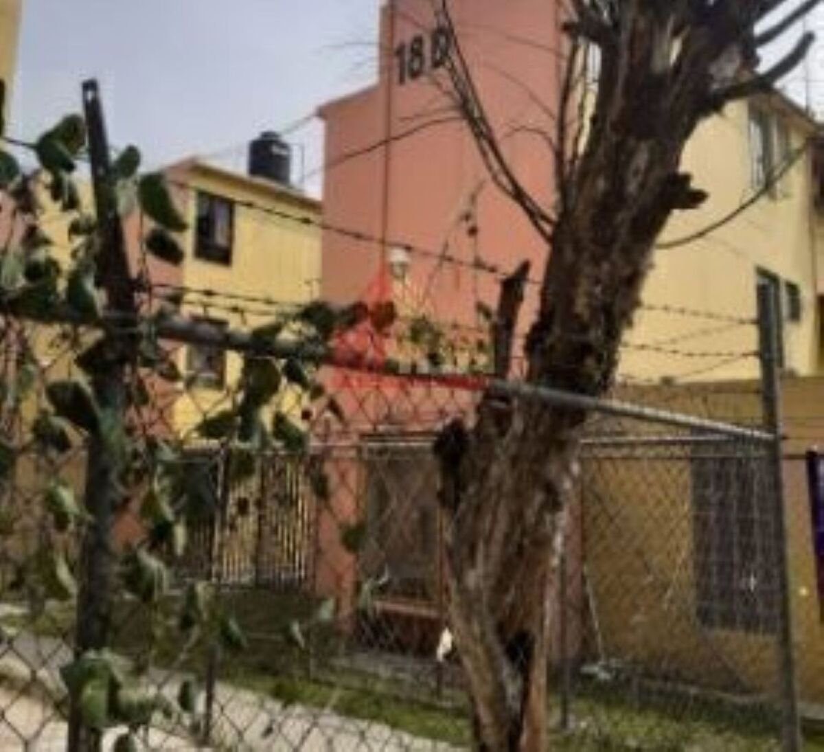 3 de 13