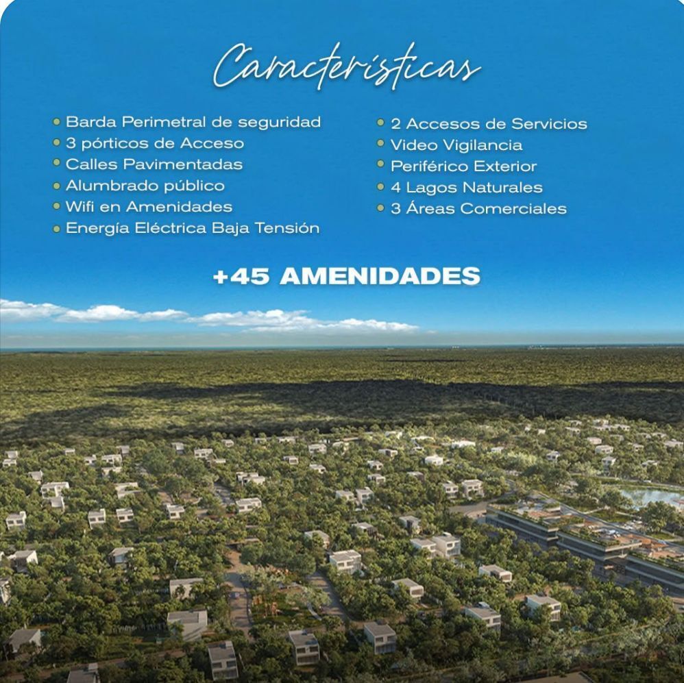 13 de 18
