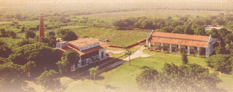 3 de 13