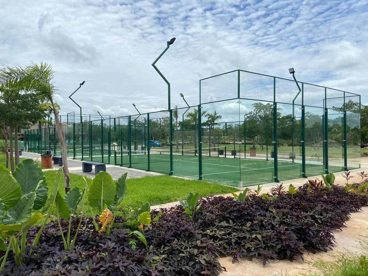 11 de 12: Cancha de pádel