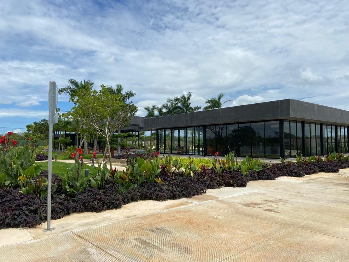 10 de 12: Gimnasio climatizado