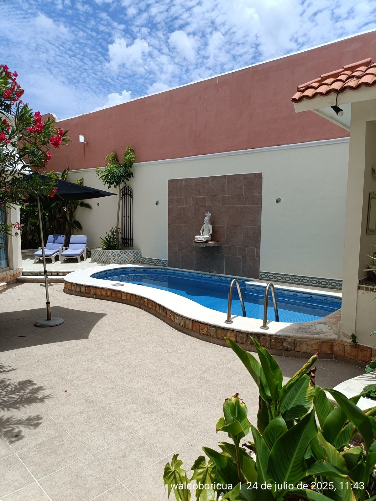 7 de 19: Patio trasero con alberca