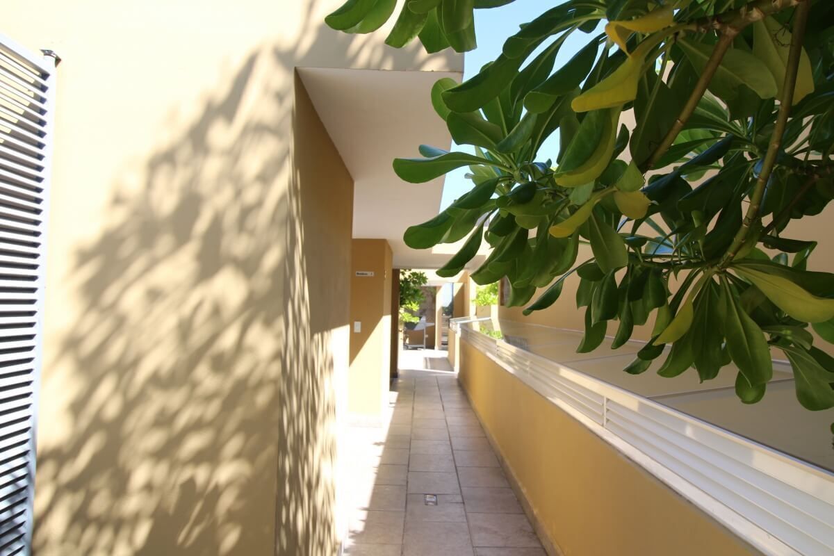 Apartment in Playa del Carmen Centro, Playa del Carmen, photo 8 of 19