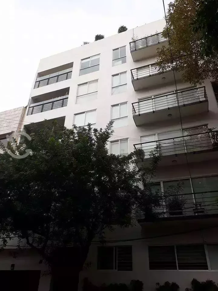 4 de 6