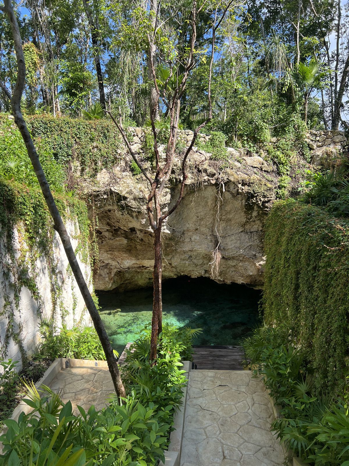 2 of 28: Amenidades: Cenote
