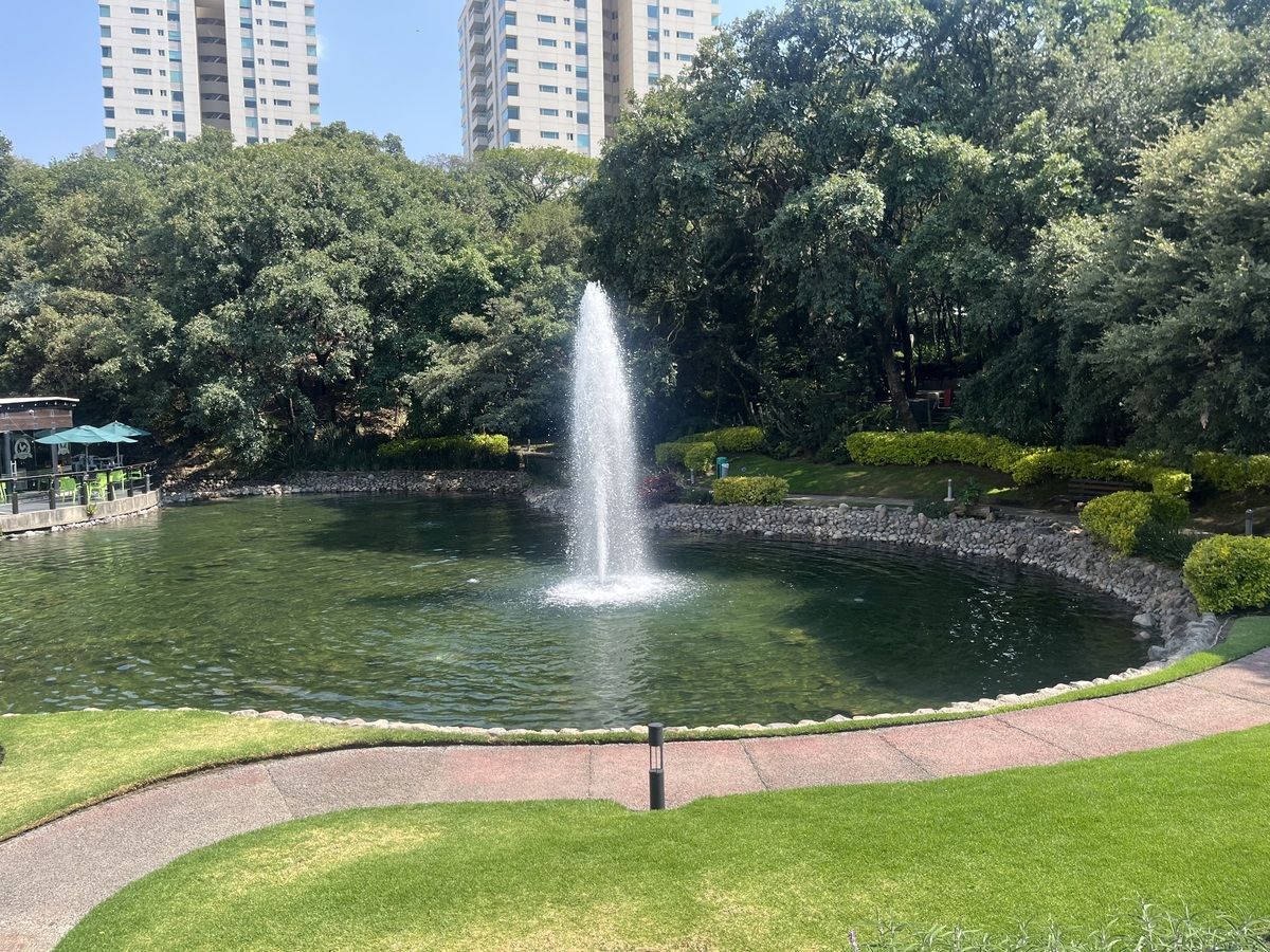 Lago con fuente al fondo la cafetería exclusiva, foto 48 de 48